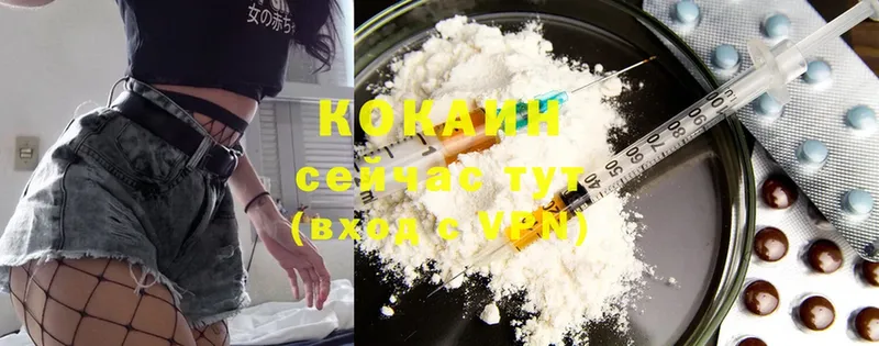 площадка формула  Аша  Cocaine 99% 